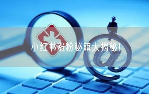 小红书涨粉秘籍大揭秘！