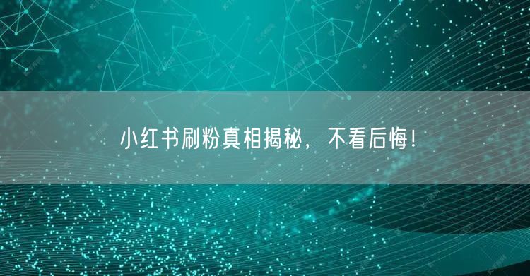 小红书刷粉真相揭秘，不看后悔！