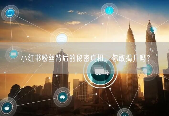 小红书粉丝背后的秘密真相，你敢揭开吗？