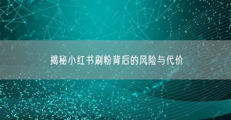揭秘小红书刷粉背后的风险与代价