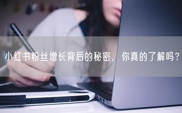 小红书粉丝增长背后的秘密，你真的了解吗？