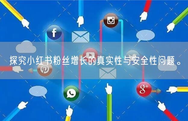 探究小红书粉丝增长的真实性与安全性问题。