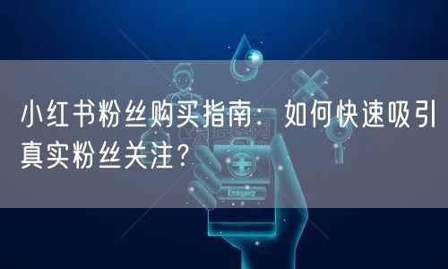 小红书粉丝购买指南：如何快速吸引真实粉丝关注？