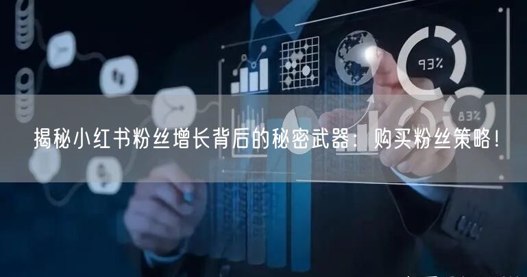 揭秘小红书粉丝增长背后的秘密武器：购买粉丝策略！