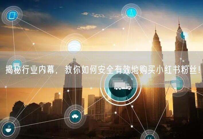 揭秘行业内幕，教你如何安全有效地购买小红书粉丝！