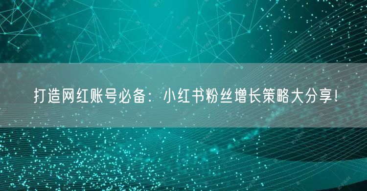 打造网红账号必备：小红书粉丝增长策略大分享！