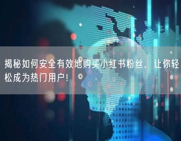 揭秘如何安全有效地购买小红书粉丝，让你轻松成为热门用户！