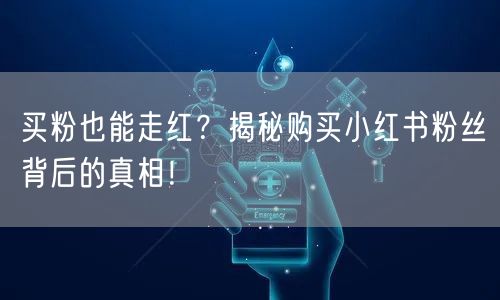 买粉也能走红？揭秘购买小红书粉丝背后的真相！