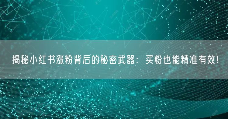 揭秘小红书涨粉背后的秘密武器：买粉也能精准有效！