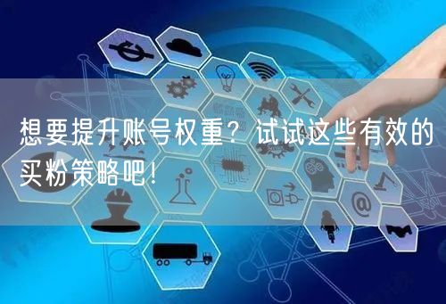 想要提升账号权重？试试这些有效的买粉策略吧！