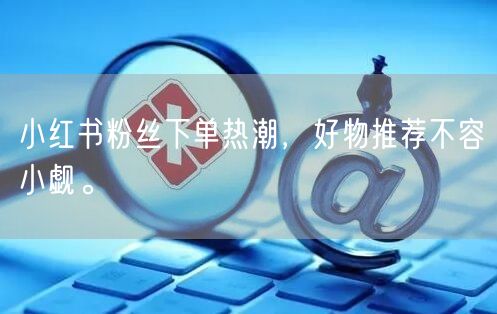 小红书粉丝下单热潮，好物推荐不容小觑。